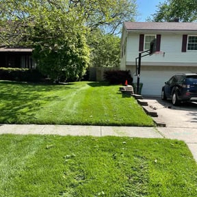 grass maintenance by King&#039;s lawn care services reviewed on August 19, 2025