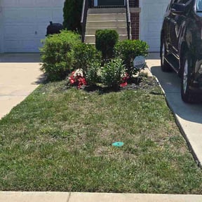 Bush Trimming by Xtreme Scapes LLC reviewed on July 2, 2026