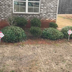 Bush Trimming by Mike G's Cuts4Less reviewed on February 27, 2026