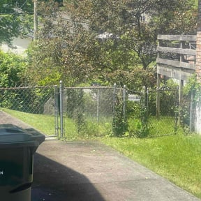 Bush Trimming by D&amp;D Landscaping reviewed on September 20, 2023