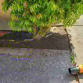 Bush Trimming by JH Landscape LLC reviewed on August 18, 2025