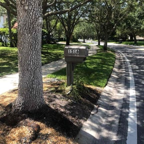 yard maintenance by Sunny Days Landscape reviewed on March 27, 2024