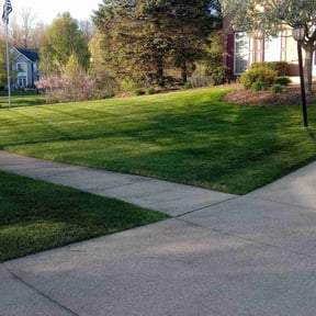 yard service by Amigos lawn care reviewed on August 15, 2025