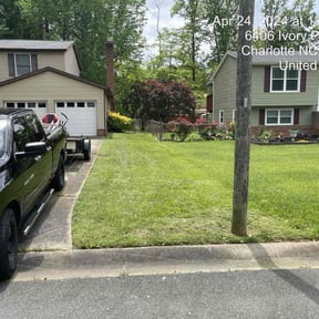 yard care by Tony's Lawn and Plowing Services reviewed on March 17, 2025
