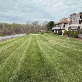 turf care by Andre Lawns reviewed on November 15, 2024