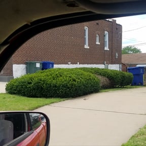 Bush Trimming by M.D.A.R. Landscaping reviewed on August 21, 2025