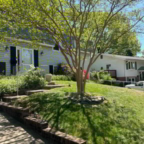 turf maintenance by Green T's Lawn & Landscape reviewed on March 21, 2024