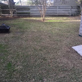 Leaf Removal by Yardscapes reviewed on August 13, 2025