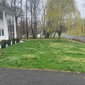 Leaf Removal by Wright's Family Lawn Care and Pressure Washing reviewed on May 1, 2026