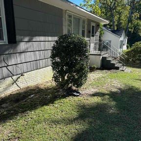 Bush Trimming by Gods Property Lawn & landscaping  reviewed on August 21, 2025