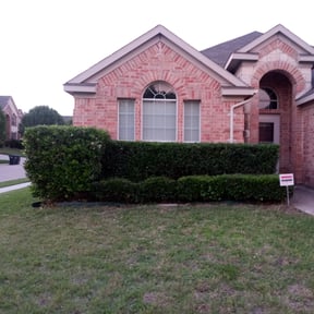 Bush Trimming by Negotiable Helping Hands Landscaping reviewed on June 26, 2021