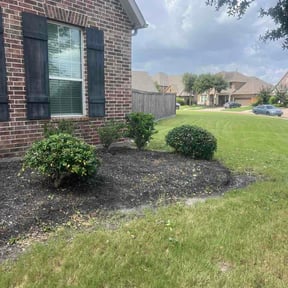 Bush Trimming by Jero's Landscape reviewed on July 4, 2026