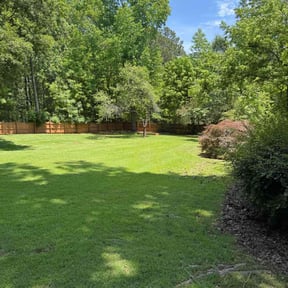 yard service by A1 Cuts reviewed on November 21, 2025