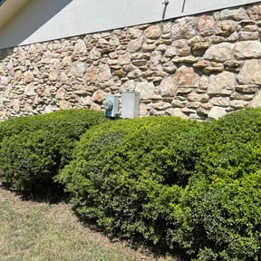 Bush Trimming by ForeverGreen Lawn Care reviewed on August 15, 2025