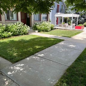 Bush Trimming by Eagle Electric Lawn Care reviewed on March 19, 2025