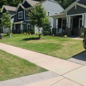 Lawn Treatment by  reviewed on October 24, 2025