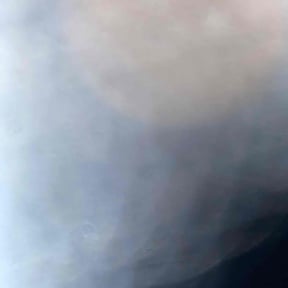 Bush Trimming by Stack Lawn Care and More LLC reviewed on December 14, 2025