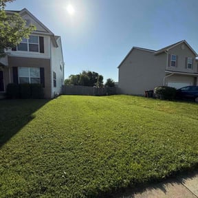 lawn maintenance by Cuts By Chuck reviewed on August 20, 2025