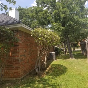 Bush Trimming by Quality1 reviewed on August 18, 2025