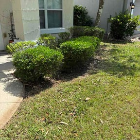 Bush Trimming by Official Enterprise, LLC reviewed on May 6, 2026