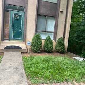Bush Trimming by Gonzalez lawn care reviewed on June 20, 2026