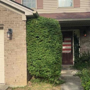 Bush Trimming by Coot N Eds Lawn Care reviewed on April 22, 2026