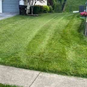 yard service by Serrano Brothers Handyman LLC reviewed on August 21, 2025