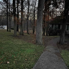 Leaf Removal by Harry's Champion Landscaping reviewed on November 20, 2025