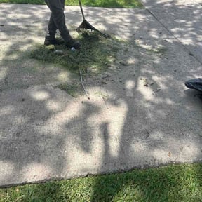 Leaf Removal by Lawn care Debris and Tree reviewed on July 4, 2026