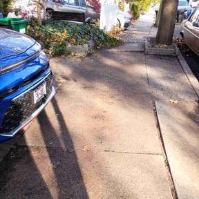 Leaf Removal by Murillo Services reviewed on December 9, 2025