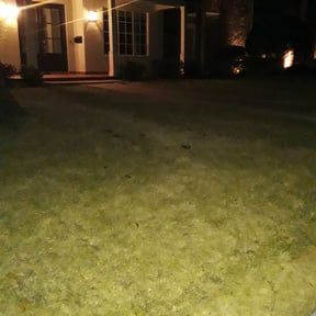 Bush Trimming by bjourklund landscaping reviewed on August 19, 2025