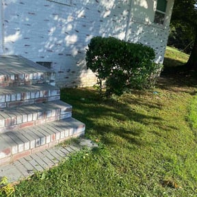 Bush Trimming by Structure lawn care reviewed on November 20, 2025