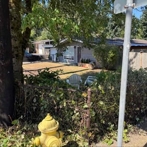 Bush Trimming by ETC Services reviewed on December 3, 2025