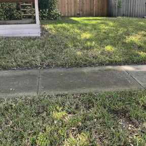 Leaf Removal by JNarayanLandacape reviewed on September 26, 2025