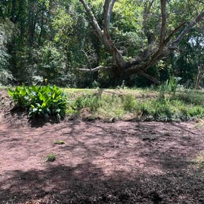 Leaf Removal by Earls Lawn Care reviewed on June 10, 2026