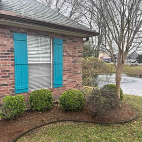 Bush Trimming by RxL Mowing reviewed on March 5, 2026