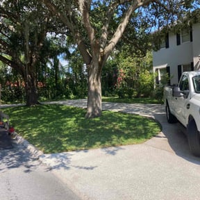 residential landscaping by Gus Lawn reviewed on November 24, 2025