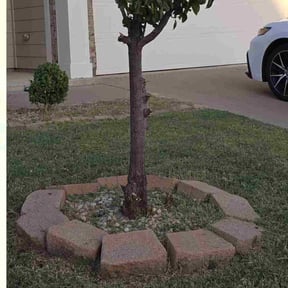 Bush Trimming by L&amp;D Lawn Care Inc. reviewed on October 24, 2025