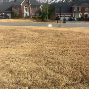 Leaf Removal by ZKZ Landscape &amp; Design reviewed on January 23, 2026