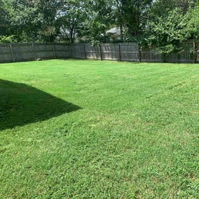 yard maintenance by Kevreks Lawncare Service’s reviewed on August 18, 2025