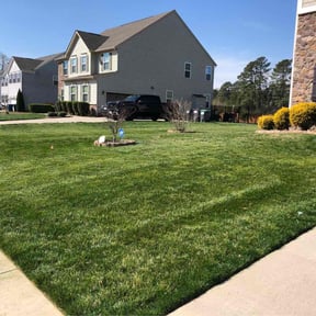 Cleanups by Jays 3 The Hard Way  reviewed on May 17, 2022