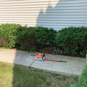 Bush Trimming by Herrera Lawn Maintenance reviewed on August 20, 2025