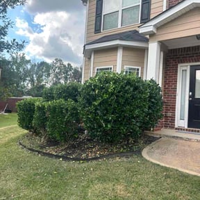 Bush Trimming by Cannon Lawn &amp; Landscapes LLC reviewed on July 12, 2026