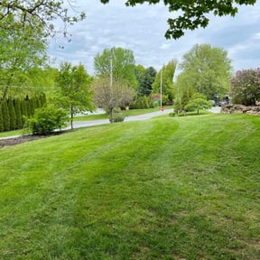 lawn care services by Big Country Lawn Care, LLc reviewed on August 25, 2024