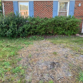 Bush Trimming by Cascadia Landscaping reviewed on August 15, 2025