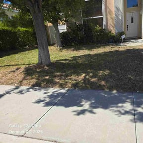 Bush Trimming by Mike G&#039;s Cuts4Less reviewed on November 18, 2025