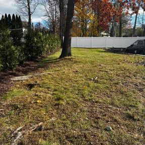 Leaf Removal by Santos Benites Landscaping  LLC reviewed on November 23, 2025