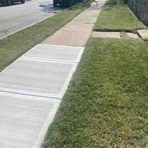 lawn care by Lone Wolf Lawn Care reviewed on April 24, 2024