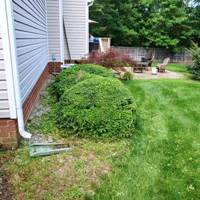 Bush Trimming by Slice'n Whack reviewed on August 13, 2023