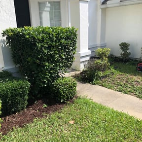 Bush Trimming by Inversiones Jar reviewed on August 18, 2025